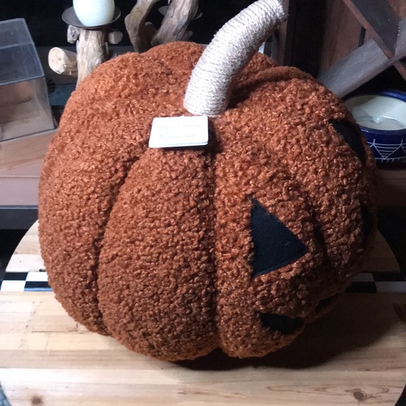 Pottery Barn Cuddly and Cute Spooktastic Jack-O-Lantern Pumpkin Pillow 🎃… - Picture 12 of 16